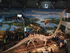 -自贡恐龙博物馆