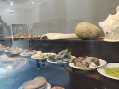 -游龙石文化科普馆