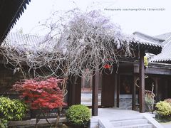 -台儿庄古城