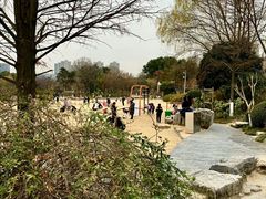 -青枫公园