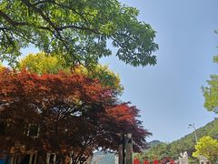 -燕窝岭