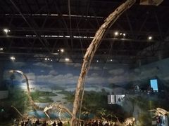 -自贡恐龙博物馆