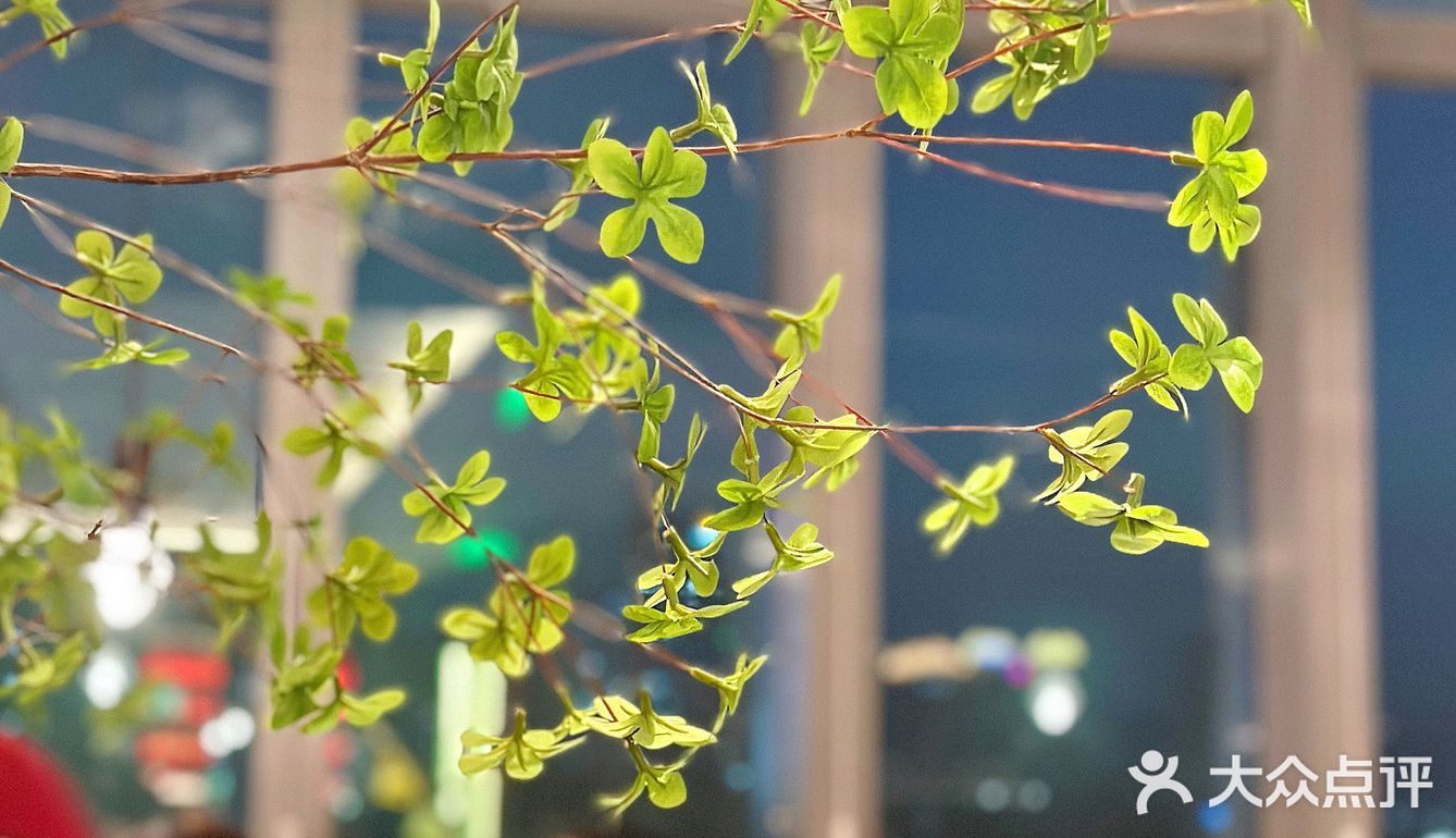 深圳的湖北老乡们都给我瞧瞧