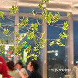 深圳的湖北老乡们都给我瞧瞧