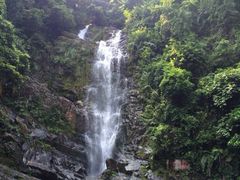 iphone_upload_pic-鼎湖山风景区