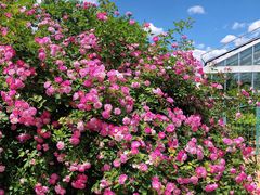 -国家植物园南园