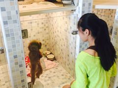 -Oh My Dog宠物沙龙(伊珊娜皮毛护理店)