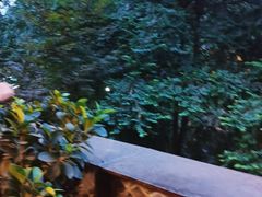 -天怡·鱼工厂(梅溪湖店)