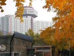 -三里屯东五街银杏大道