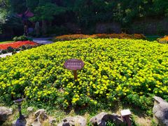 -庐山风景区花径公园