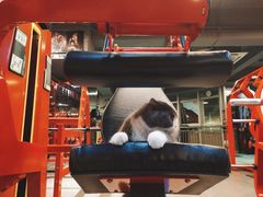 -KingBull私教健身&格斗订制(龙井商业中心店)