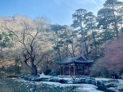 -香山公园