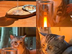 -咖法森林·咖啡  酒吧(天河店)