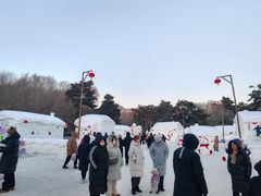 -长春市南湖公园