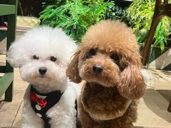 -Thai Basil罗勒叶泰式餐厅(时代天街店)