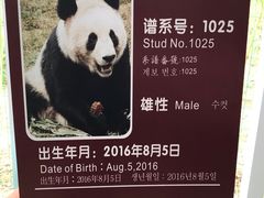 -五龙山野生动物王国