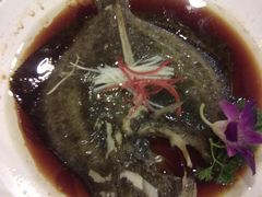 清蒸多宝鱼-红高粱大酒店(宁山东路店)