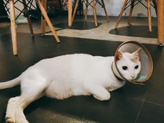 -Doors独立剧情密室(东门分店)