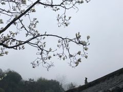 -青城山