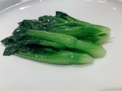 清炒时蔬-新光酒家·河豚·海鲜·蟹料理(浦东店)