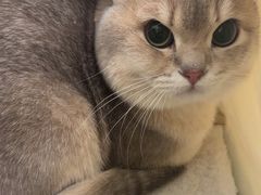 -美联众合动物医院·24h京西诊疗中心