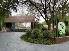 -合肥野生动物园