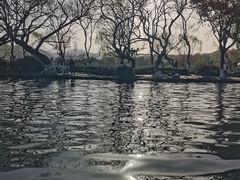 -西湖外事游船(花港观鱼码头)