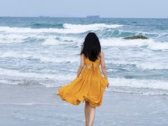-汕尾风车岛