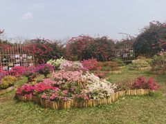 -中国科学院西双版纳热带植物园