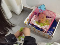 -杭州市临平区星桥中心幼儿园(汤家园区)