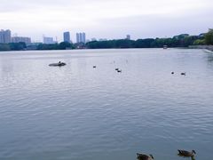 -海珠湖公园
