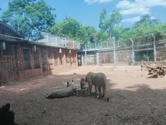 -昆明动物园