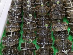 -欧尚(江阳中路店)