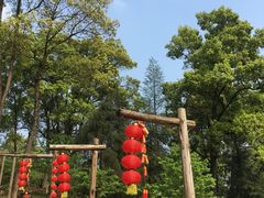-南山植物园