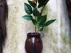门面-国生茶庄·地道农家菜团建活动