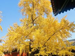 -承恩寺