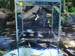 -上海海洋水族馆