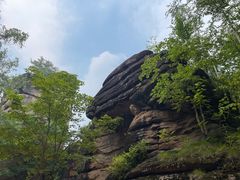 -汤旺河林海奇石景区