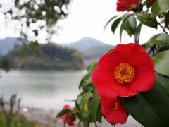-宁波九龙湖开元度假村