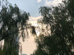 -天鹅湖体育公园