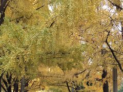 -四川大学(华西校区)