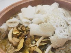 -菌海森林·非遗野生菌火锅(西山区滇池路摩根道店)