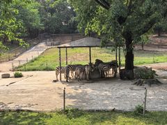 -深圳野生动物园