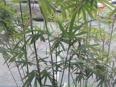 -一江水食府(后湖店)