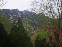 -北京凤凰岭
