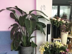 -花沐 FLOWER BATH(凤凰城店)