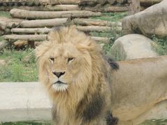 -泉州海丝野生动物世界