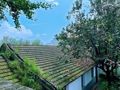 -自如ZSPACE四合院艺术餐厅