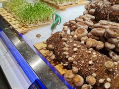 -V-ONE西雅图海鲜自助餐厅(仓山万达广场店)