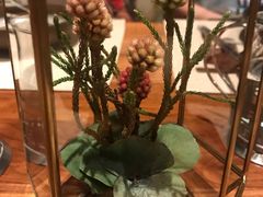 -云龙轩(迪士尼探索家度假酒店)